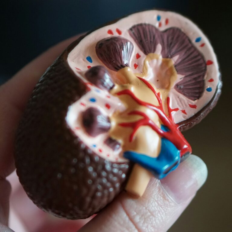 DOENÇA RENAL