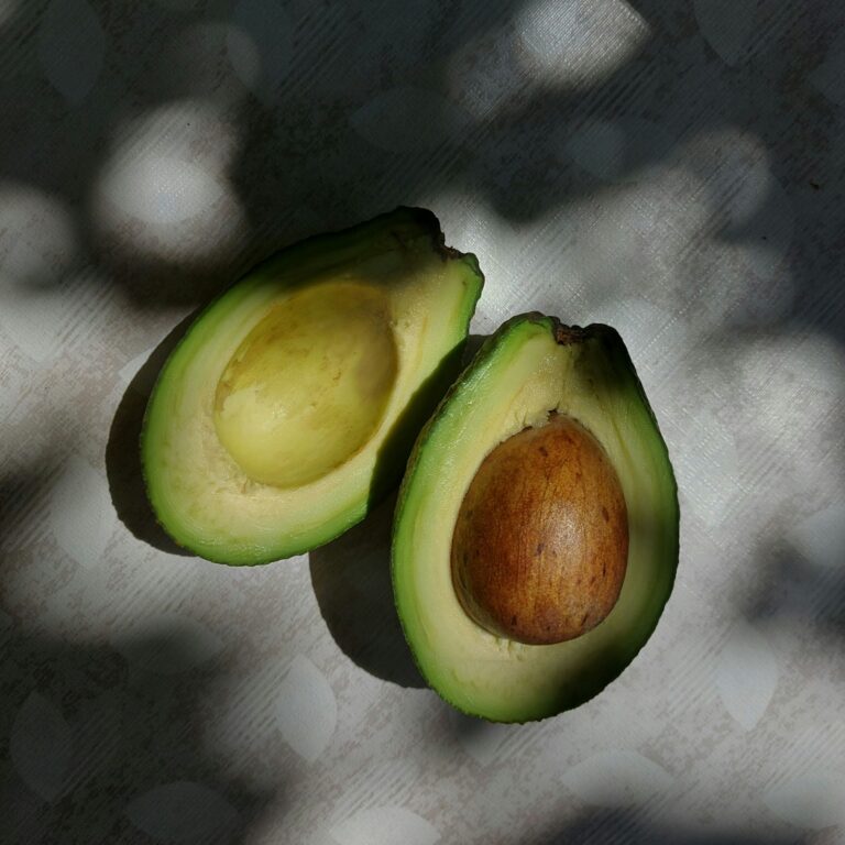 NUTRIÇÃO