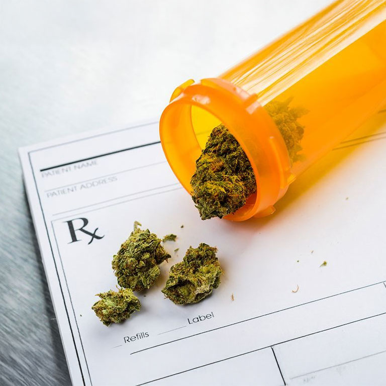 Canábis Medicinal: Conceitos fundamentais para a prática clínica